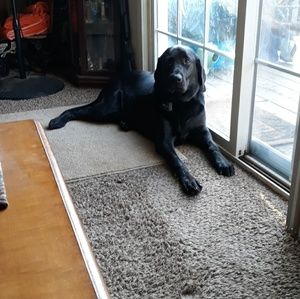 Meet your Posher, Alison